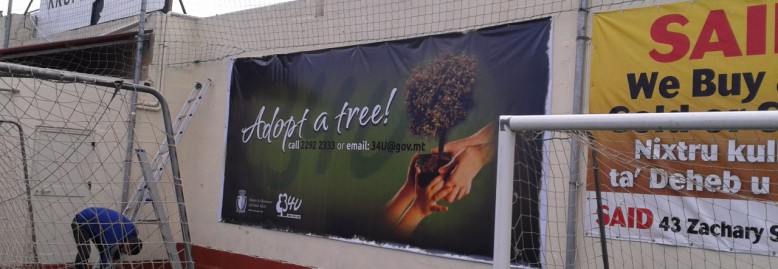 Adopt a tree